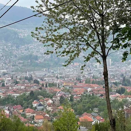 Sedrenik